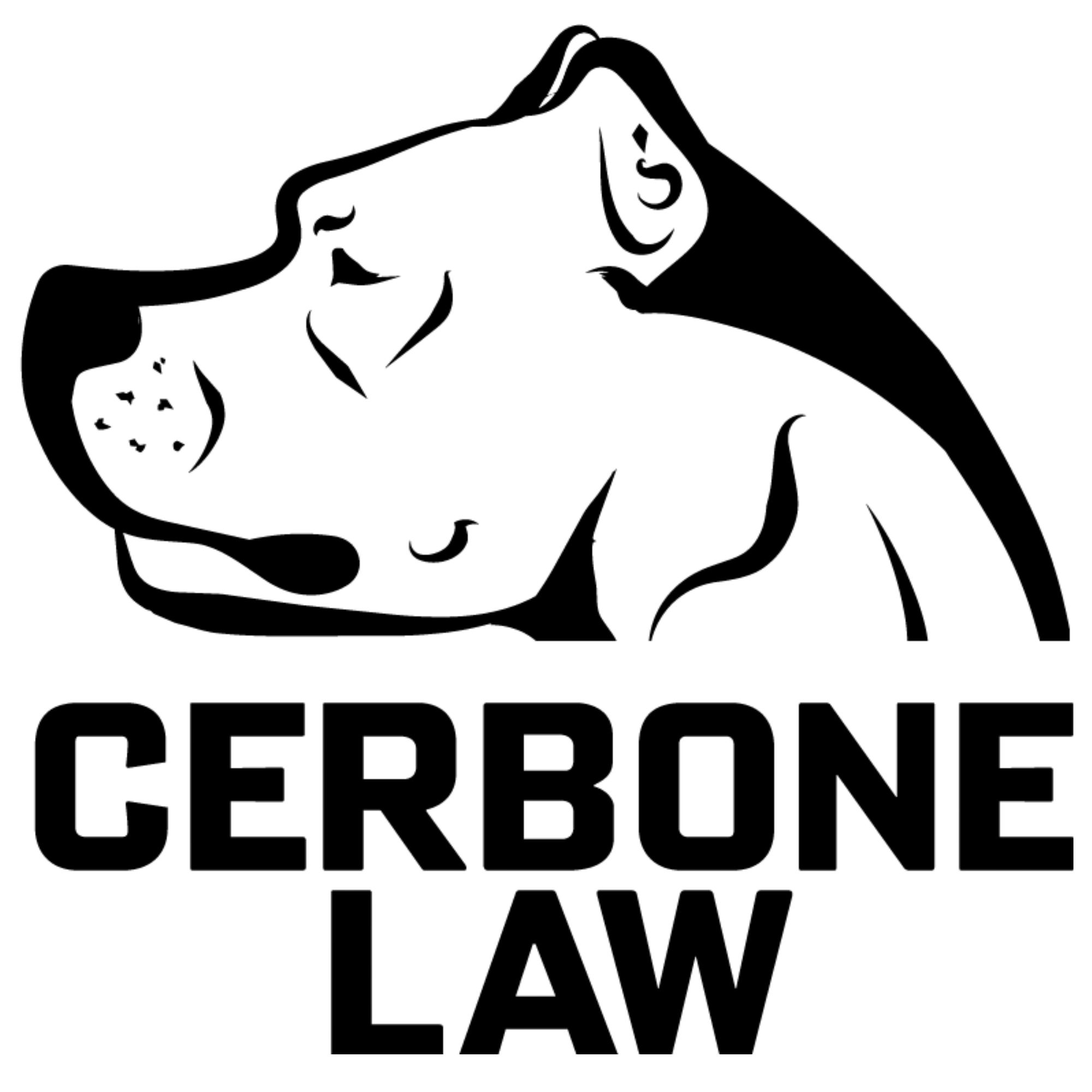 Cerbone Law